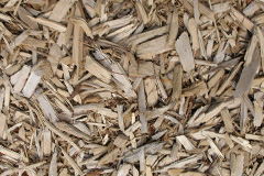 biomass boilers Scrabster